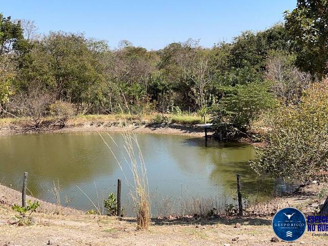 Venda em zona rural - Faina