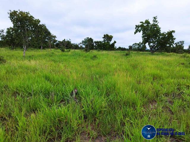 Venda em zona rural - Aragarças
