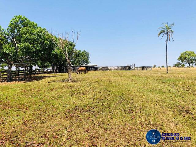 Venda em ZONA RURAL - Morro Agudo de Goiás