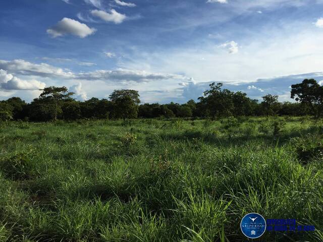 Venda em zona rural - Montes Claros de Goiás