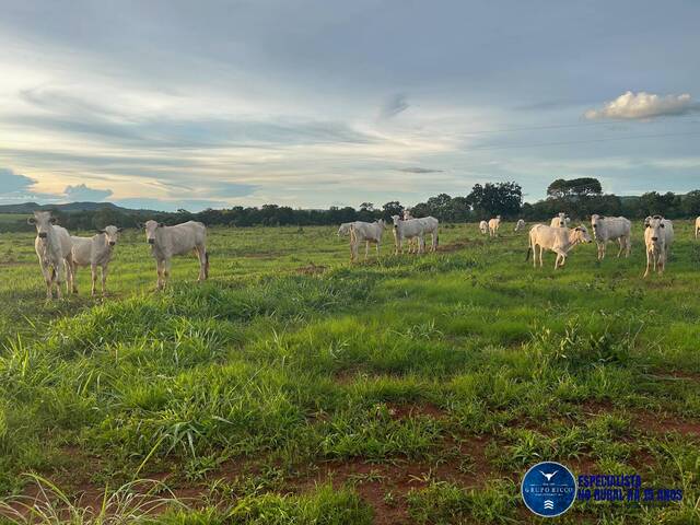 Chácara para Venda em Montes Claros de Goiás - 5