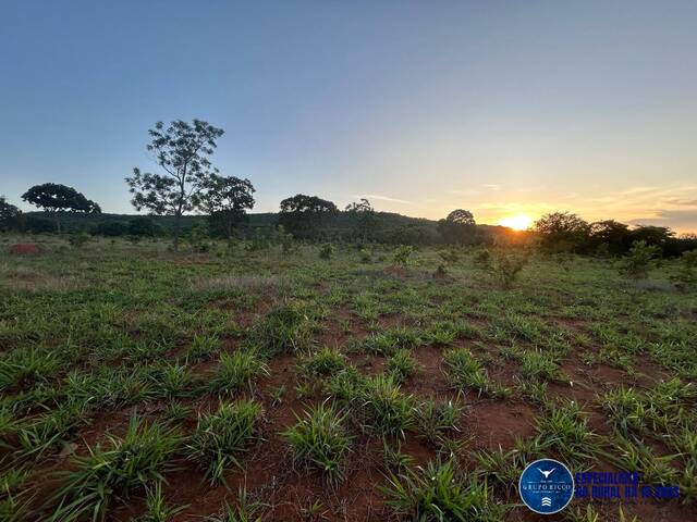 #3209 - Chácara para Venda em Montes Claros de Goiás - GO