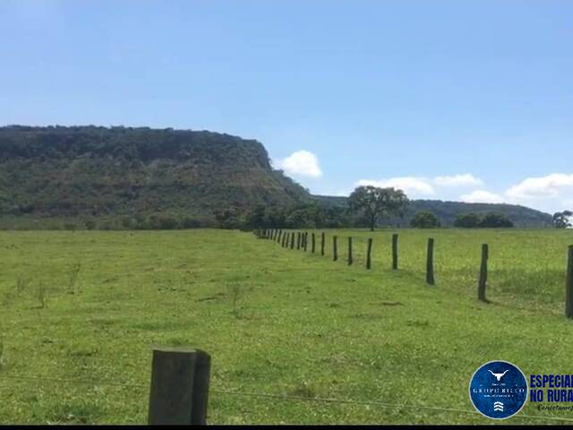 #3213 - Fazenda para Venda em Quirinópolis - GO