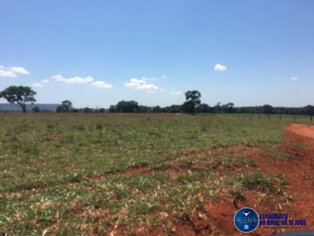 Venda em ZONA RURAL - Quirinópolis