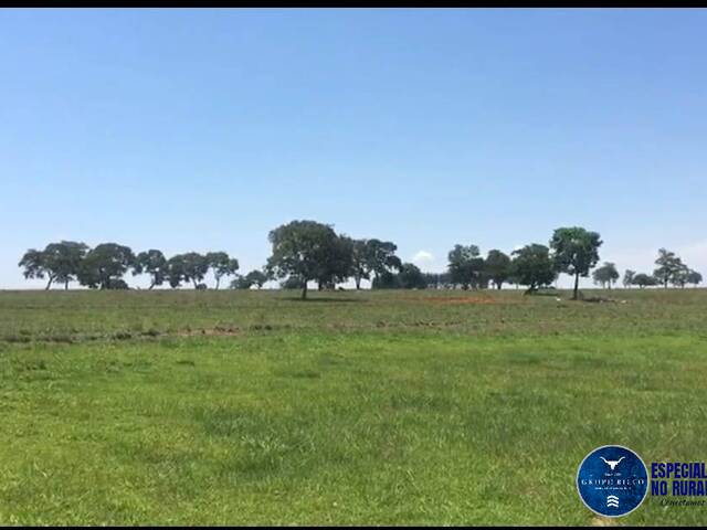 #3213 - Fazenda para Venda em Quirinópolis - GO