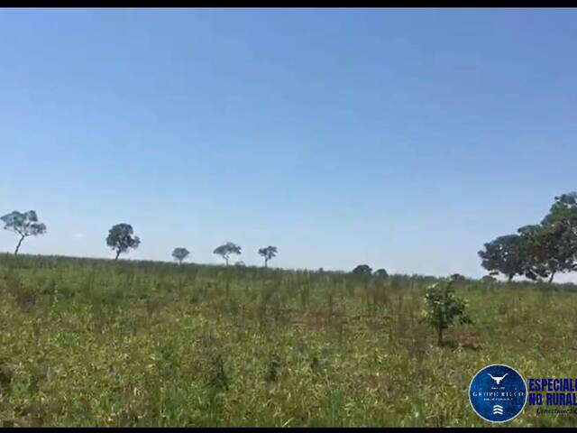 Fazenda para Venda em Quirinópolis - 4