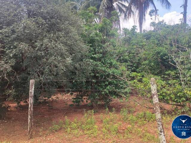 Fazenda para Venda em Jaraguá - 5