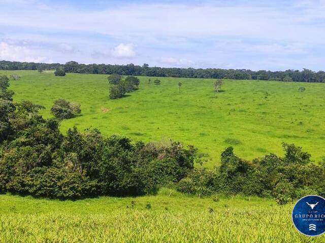 Venda em zona rural - Jaraguá