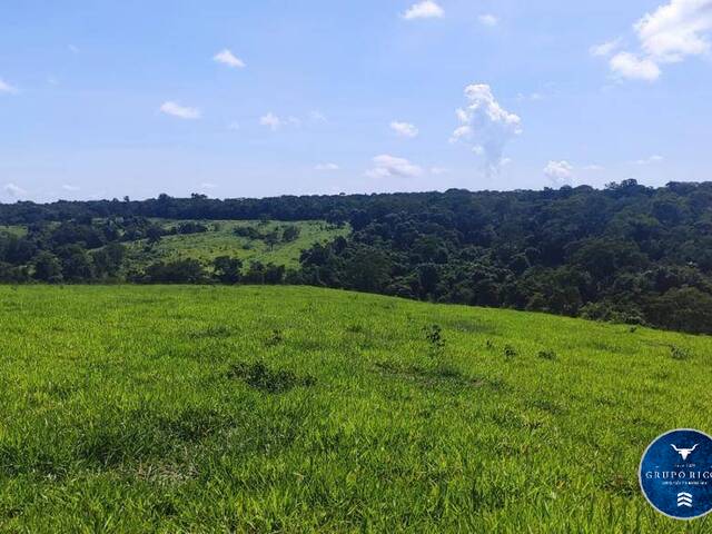 #3216 - Fazenda para Venda em Jaraguá - GO