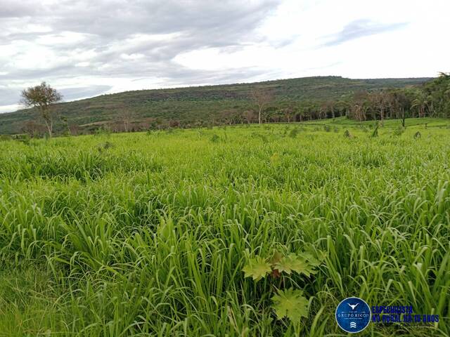 Venda em zona rural - Pontal do Araguaia