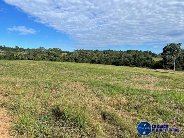 Fazenda para Venda em São Francisco de Goiás - 4