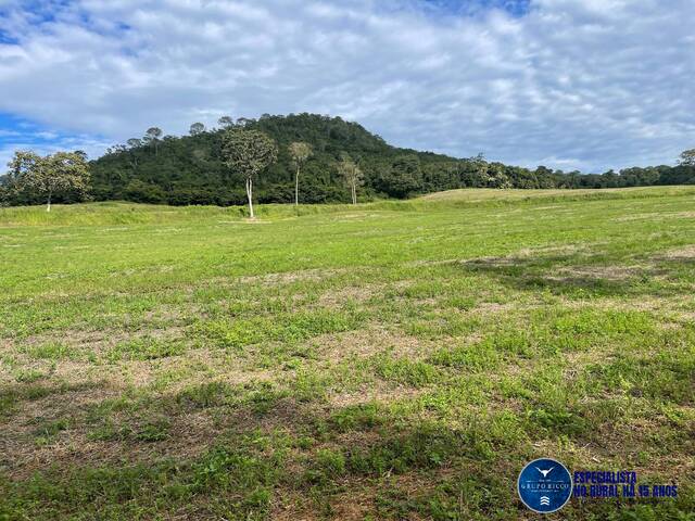 Fazenda para Venda em São Francisco de Goiás - 5