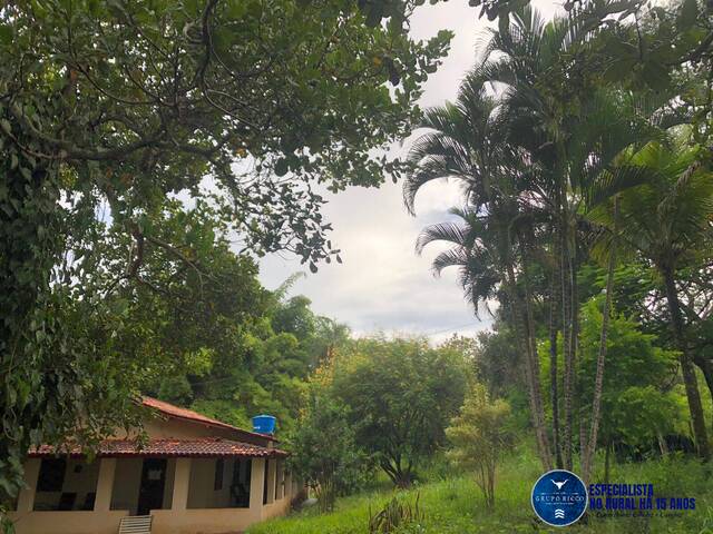 #2587 - Chácara para Venda em Santa Bárbara de Goiás - GO