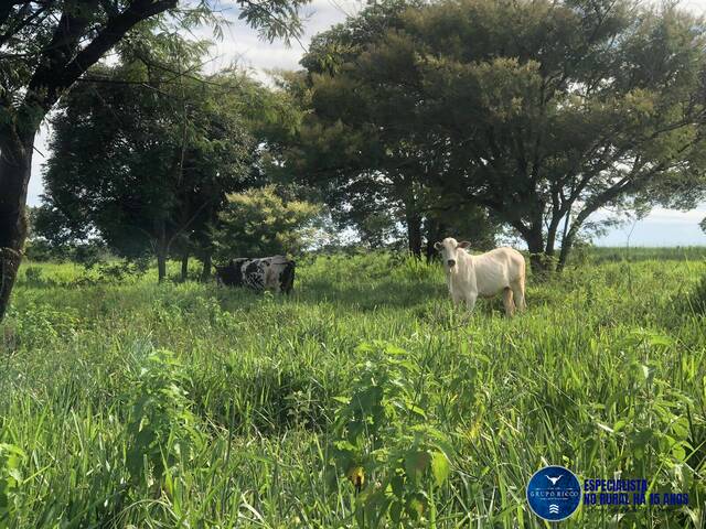 Venda em zona rural - Santa Bárbara de Goiás