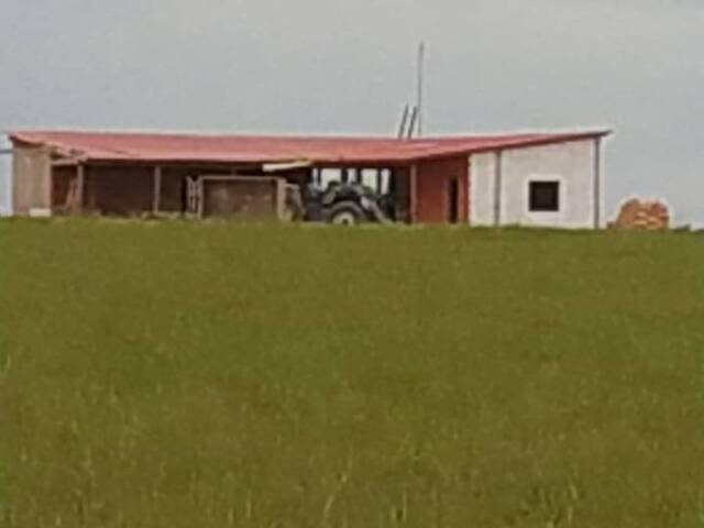 #3253 - Fazenda para Venda em Bonfim - RR