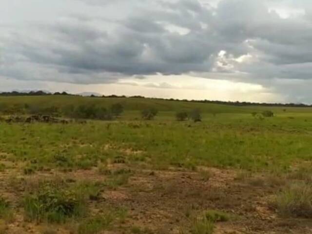 #3253 - Fazenda para Venda em Bonfim - RR