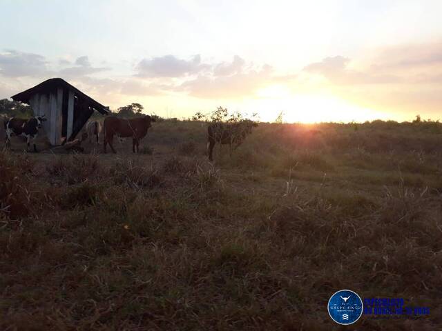 #3254 - Fazenda para Venda em Cantá - RR