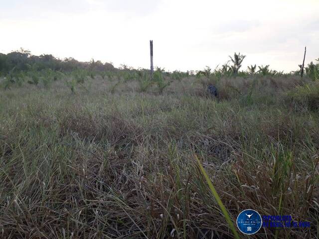 #3254 - Fazenda para Venda em Cantá - RR