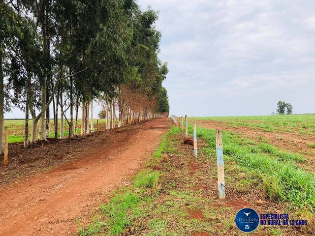 Venda em zona rural - Itaberaí