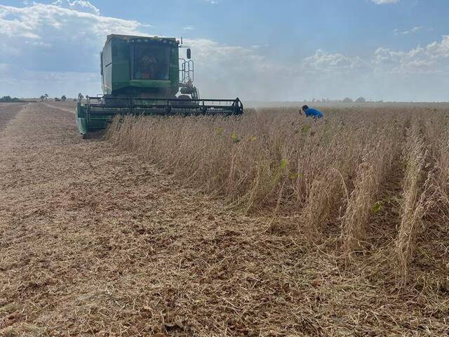 #3259 - Fazenda para Venda em Bonfim - RR