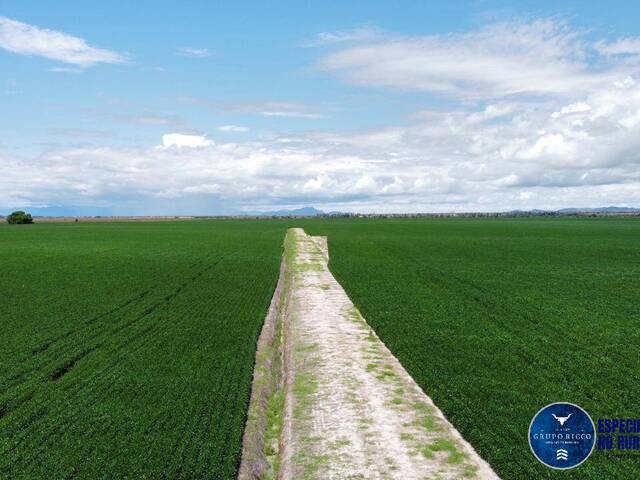 #3259 - Fazenda para Venda em Bonfim - RR
