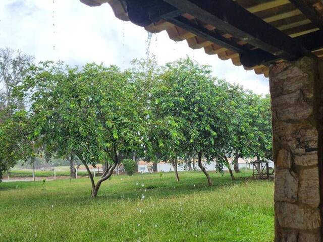 #3261 - Chácara para Venda em Goiás - GO
