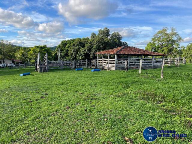 #3262 - Fazenda para Venda em Faina - GO
