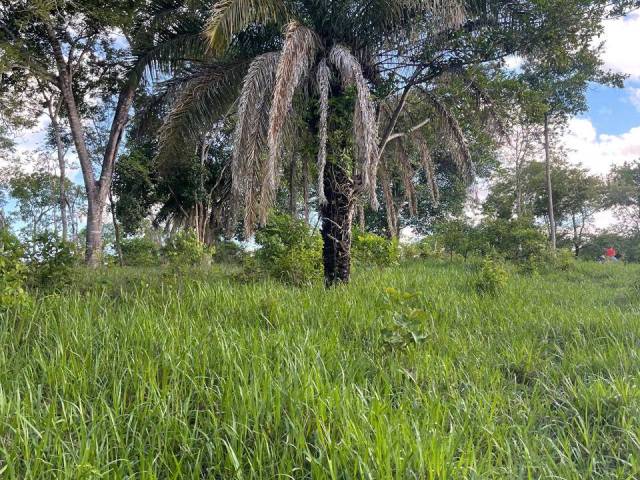Fazenda para Venda em Faina - 5