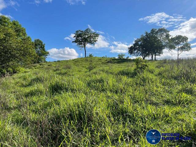 Venda em zona rural - Faina