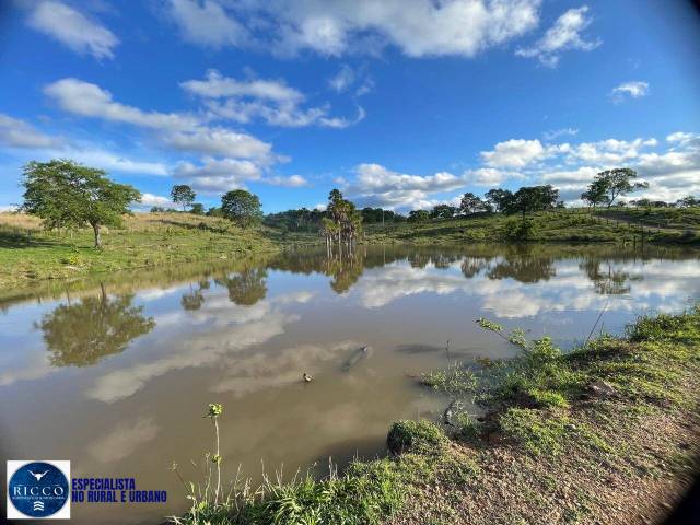 Venda em zona rural - Faina