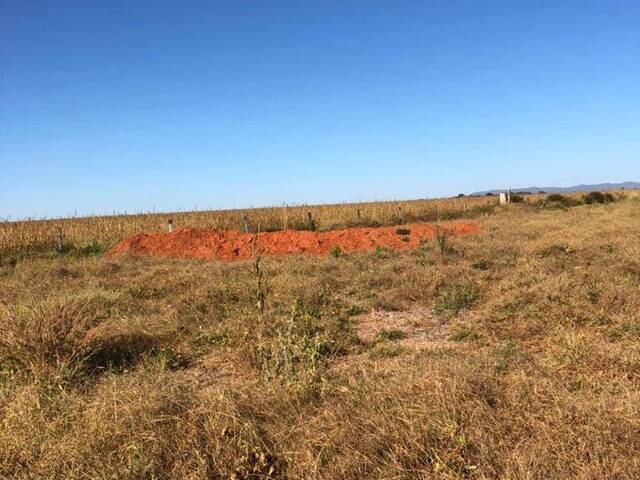 #3264 - Fazenda para Venda em Piranhas - GO