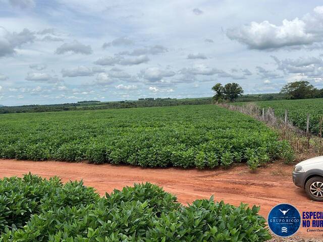 Venda em zona rural - Piranhas