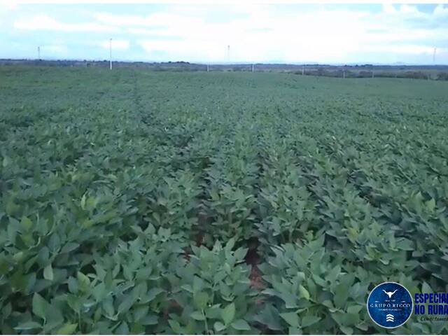 #3266 - Fazenda para Venda em Araguaína - TO
