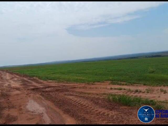 #3269 - Fazenda para Venda em Ponte Alta do Tocantins - TO
