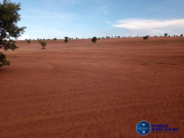 Venda em zona rural - Ponte Alta do Tocantins