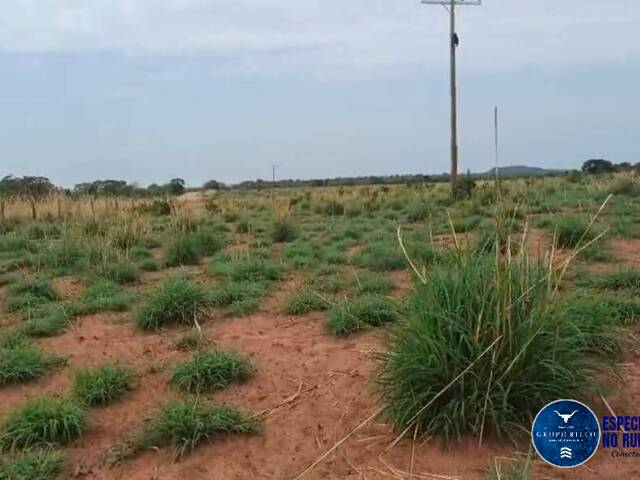 Fazenda para Venda em Ponte Alta do Tocantins - 4
