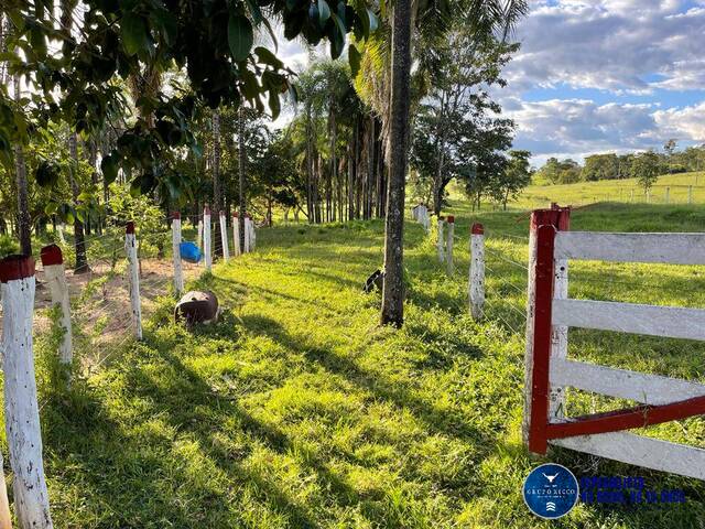 #3272 - Sítio para Venda em Caldas Novas - GO