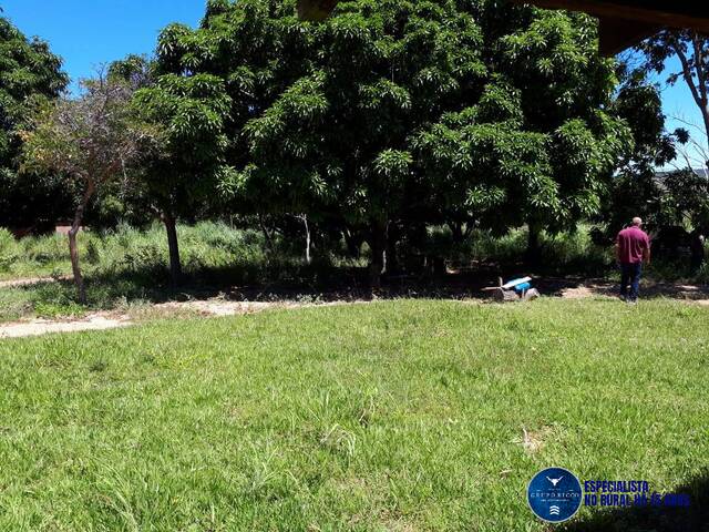 #3280 - Fazenda para Venda em Flores de Goiás - GO