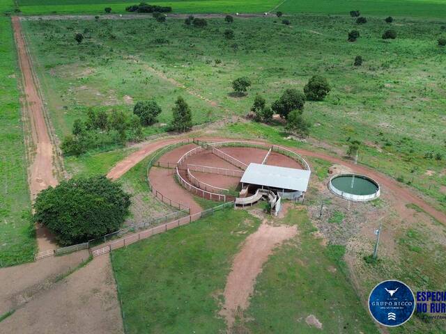 #3283 - Fazenda para Venda em Nova Xavantina - MT