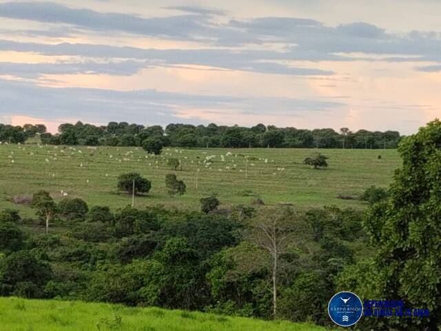 Venda em zona rural - Mineiros