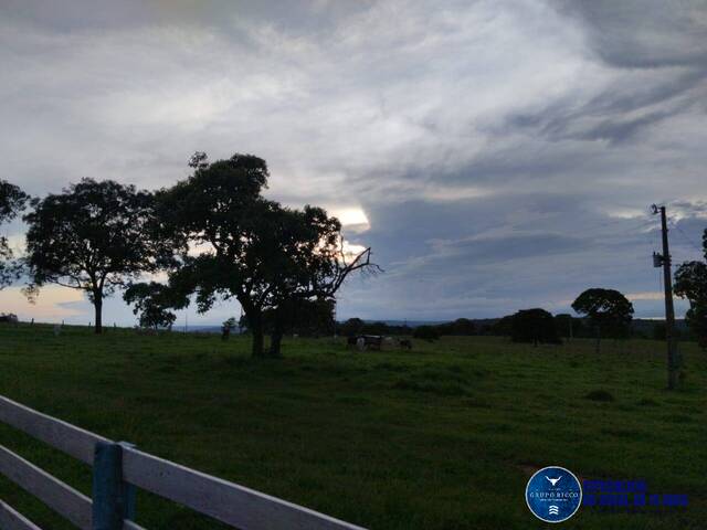 Fazenda para Venda em Mineiros - 4