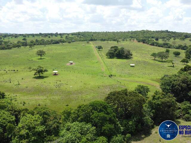 #3291 - Fazenda para Venda em Montes Claros de Goiás - GO