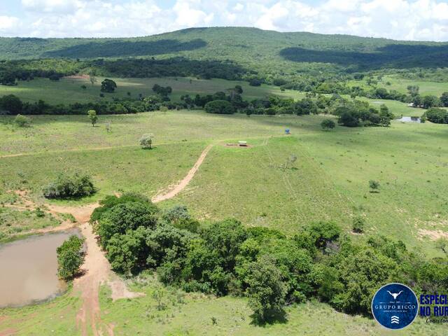 #3291 - Fazenda para Venda em Montes Claros de Goiás - GO