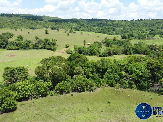 Fazenda para Venda em Montes Claros de Goiás - 4