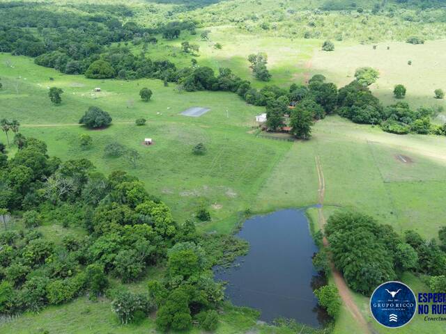 Fazenda para Venda em Montes Claros de Goiás - 5