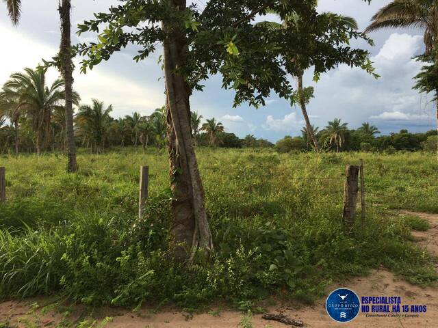 #3294 - Fazenda para Venda em Vila Rica - MT