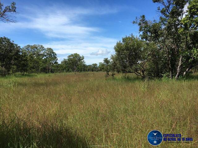 #3294 - Fazenda para Venda em Vila Rica - MT