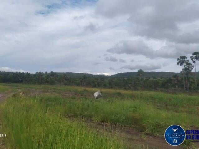 #3295 - Fazenda para Venda em Nova Xavantina - MT
