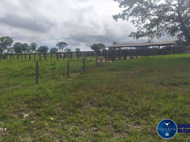 #3295 - Fazenda para Venda em Nova Xavantina - MT