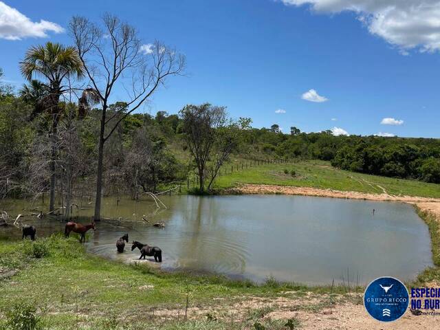 #3307 - Fazenda para Venda em Caldas Novas - GO